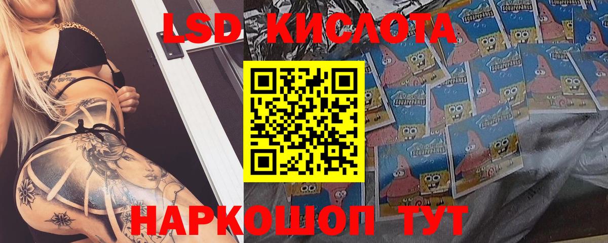 ЛСД экстази ecstasy  Вход с VPN  Курчалой  Лсд 25 экстази  LSD-25 экстази ecstasy 