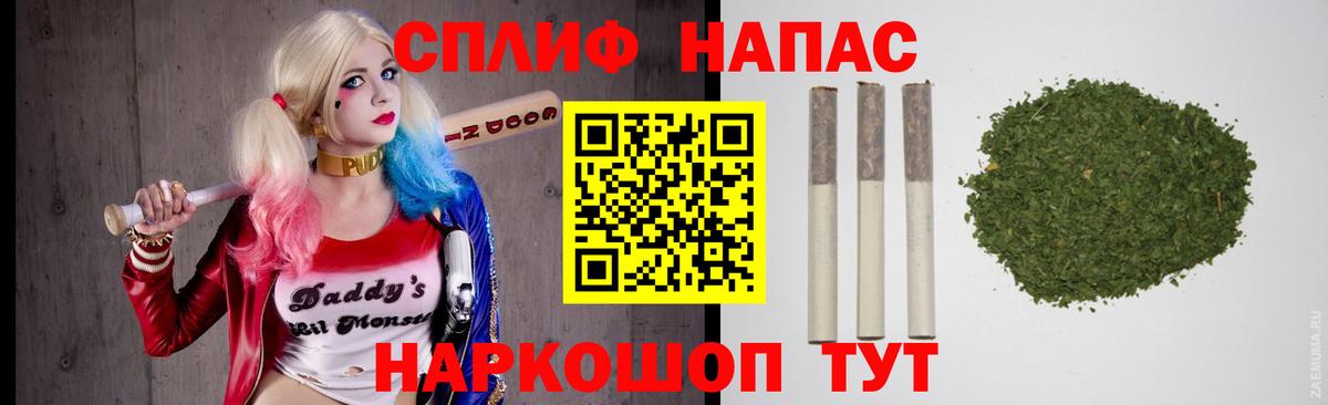 Каннабис конопля Курчалой